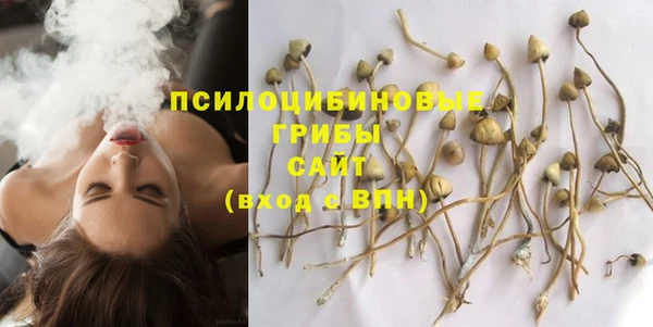 дмт Алексин