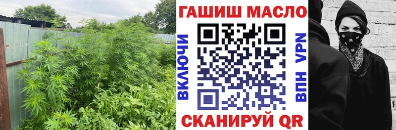 Дистиллят ТГК THC oil  площадка состав  Лесной  магазин   