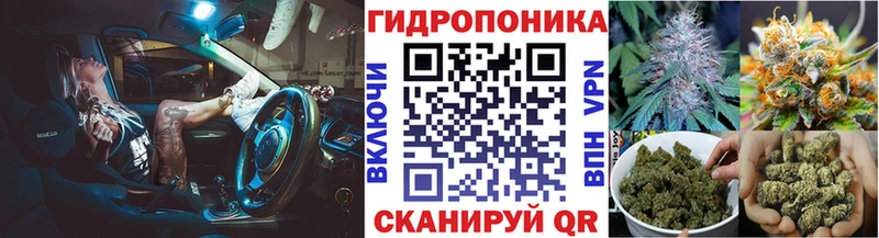 Бошки марихуана MAZAR  купить закладку  Лесной 
